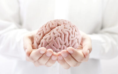 Dentist in Dallas, TX, Reveals the Link Between Oral and Brain Health