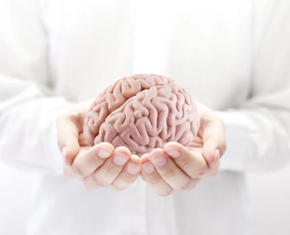 A person wearing a white shirt gently holds a realistic model of a human brain in both hands, with a bright, white background.